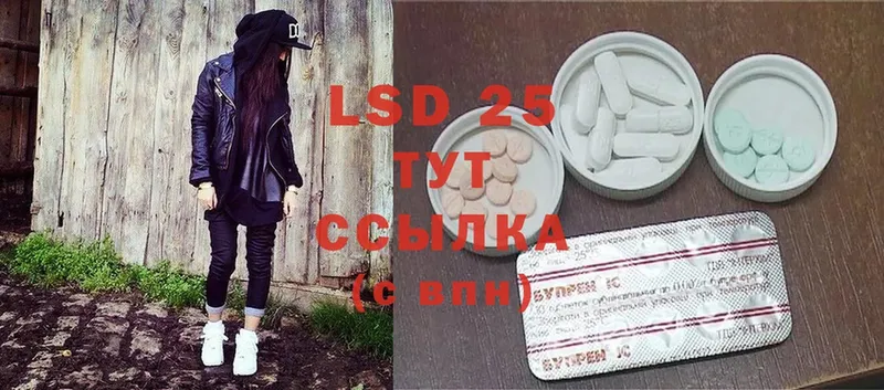 Лсд 25 экстази ecstasy  Каргополь 